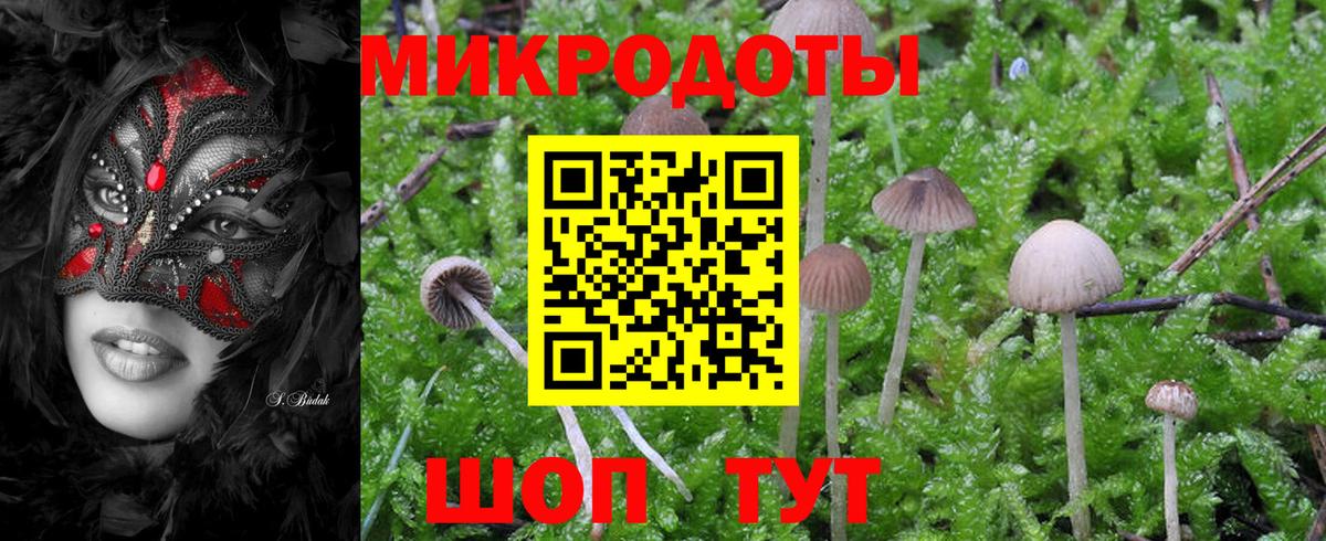Галлюциногенные грибы мухоморы Арсеньев