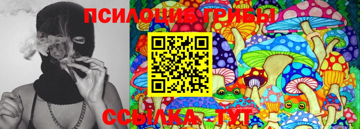 Арсеньев  закладки  Вход с VPN  Галлюциногенные грибы MAGIC MUSHROOMS 