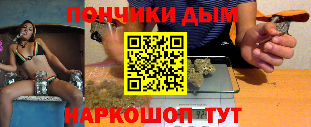 Конопля сатива Арсеньев